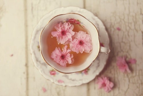 trà hoa đào ngủ giúp ngủ ngon
