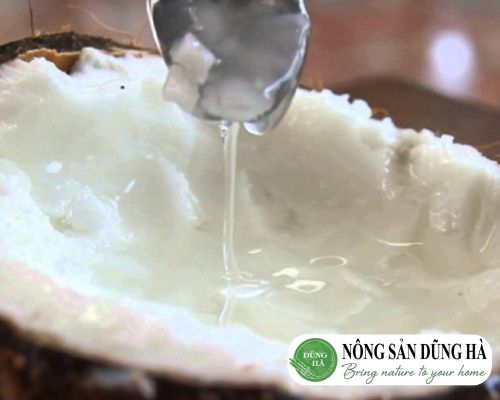 dừa sap làm gì ngon dừa sáp dùng trực tiếp