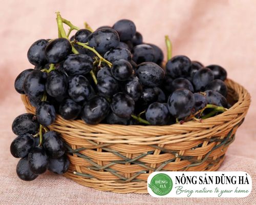 top 10 hoa quả bổ máu tốt nhất cho sức khỏe nho 