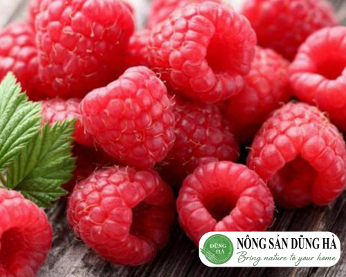 Top 9 loại hoa quả nhiều chất xơ nhất mà bạn nên bổ sung vào thực đơn mâm xôi