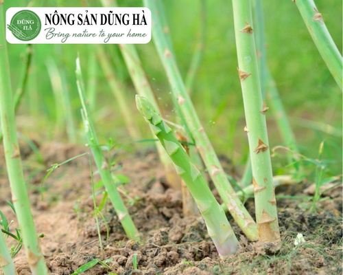 trong-mang-tay-vao-mua-dong