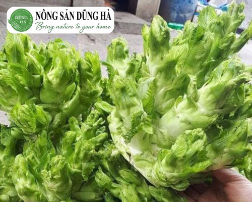 cong-dung-cua-rau-mam-da