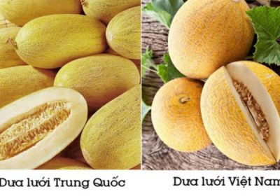 phan-biet-dua-luoi-viet-nam- trung-quoc