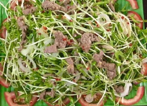 Salad rau mầm