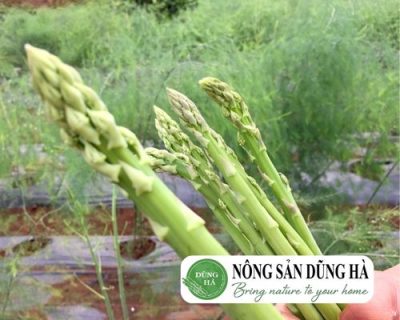 mang-tay-bao-nhieu-1kg