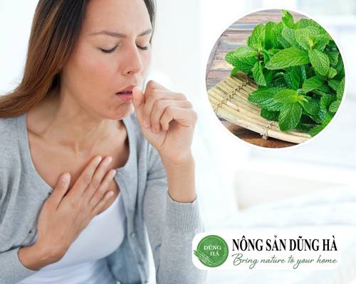 bai-thuoc-dan-gian-tri-ho