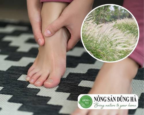 bai-thuoc-dan-gian-tri-phu-ne